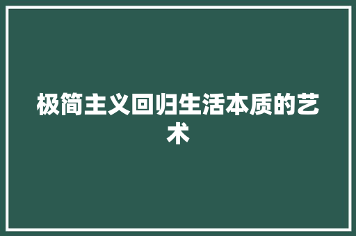 极简主义回归生活本质的艺术