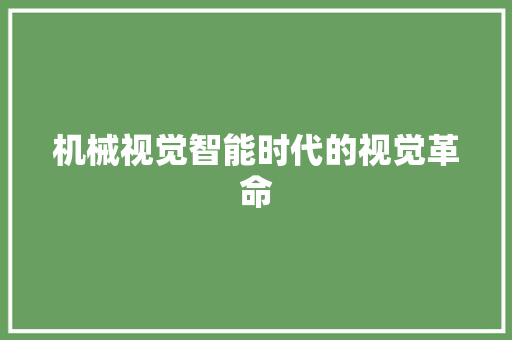 机械视觉智能时代的视觉革命