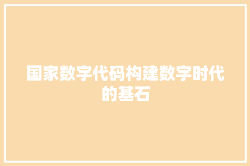 国家数字代码构建数字时代的基石