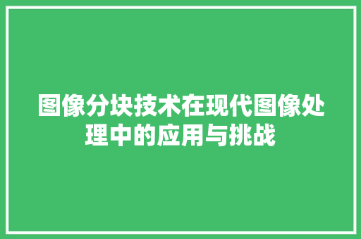 图像分块技术在现代图像处理中的应用与挑战