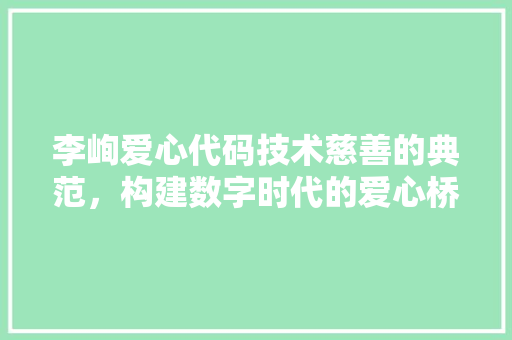 李峋爱心代码技术慈善的典范，构建数字时代的爱心桥梁