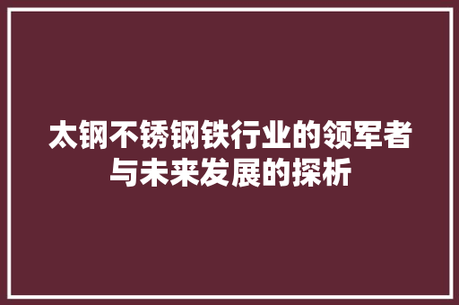 太钢不锈钢铁行业的领军者与未来发展的探析