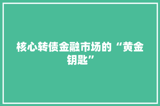 核心转债金融市场的“黄金钥匙”