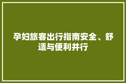 孕妇旅客出行指南安全、舒适与便利并行