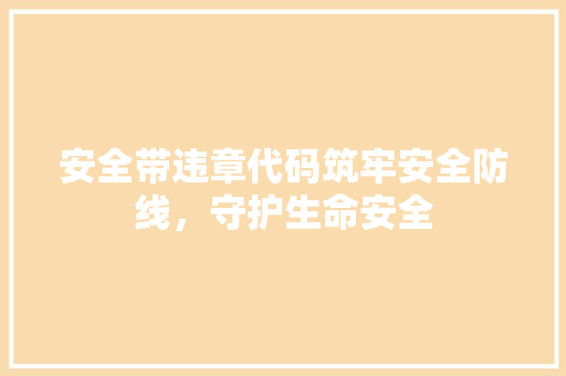 安全带违章代码筑牢安全防线，守护生命安全