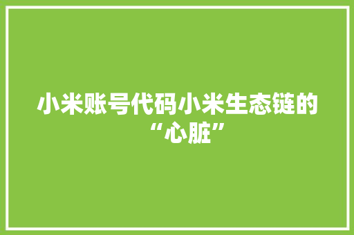 小米账号代码小米生态链的“心脏”