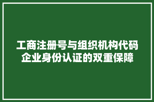 工商注册号与组织机构代码企业身份认证的双重保障