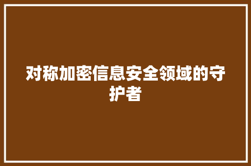 对称加密信息安全领域的守护者