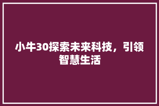 小牛30探索未来科技，引领智慧生活