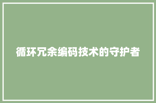 循环冗余编码技术的守护者