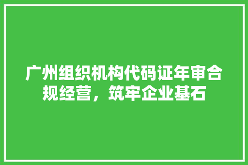 广州组织机构代码证年审合规经营，筑牢企业基石