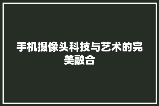 手机摄像头科技与艺术的完美融合