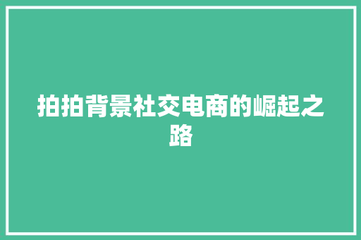 拍拍背景社交电商的崛起之路