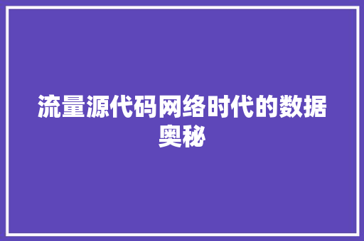 流量源代码网络时代的数据奥秘