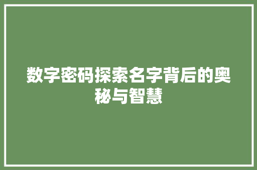 数字密码探索名字背后的奥秘与智慧