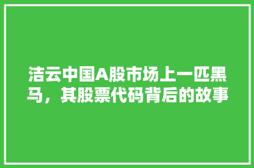 洁云中国A股市场上一匹黑马，其股票代码背后的故事与潜力