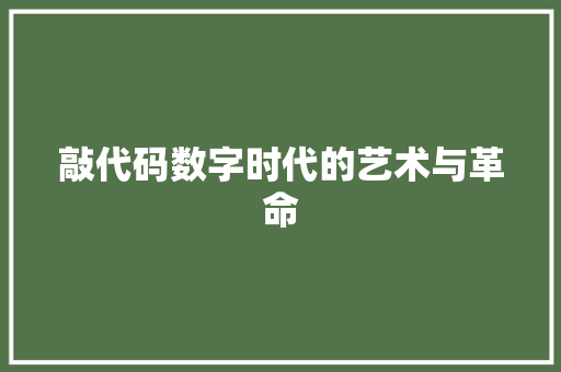 敲代码数字时代的艺术与革命  第1张