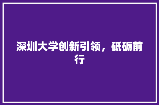 深圳大学创新引领，砥砺前行