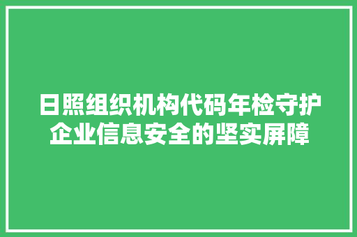 日照组织机构代码年检守护企业信息安全的坚实屏障