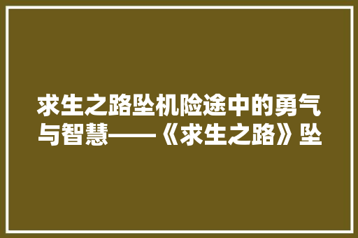 求生之路坠机险途中的勇气与智慧——《求生之路》坠机事件