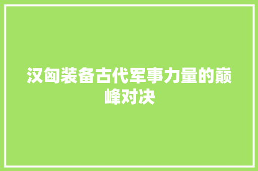 汉匈装备古代军事力量的巅峰对决