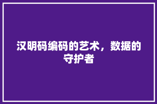 汉明码编码的艺术，数据的守护者