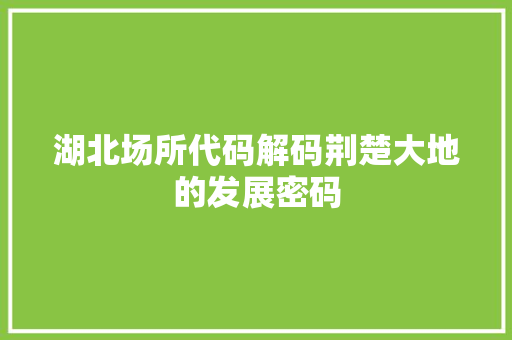湖北场所代码解码荆楚大地的发展密码