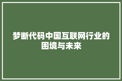 梦断代码中国互联网行业的困境与未来
