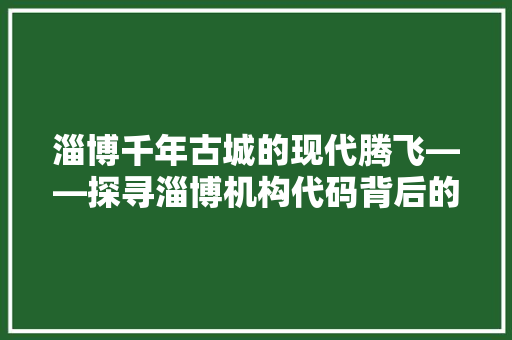 淄博千年古城的现代腾飞——探寻淄博机构代码背后的故事  第1张