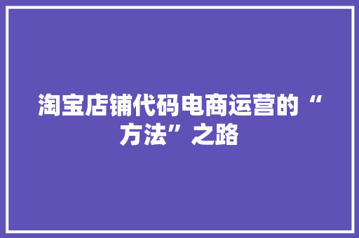 淘宝店铺代码电商运营的“方法”之路