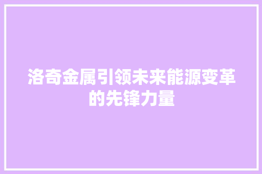 洛奇金属引领未来能源变革的先锋力量