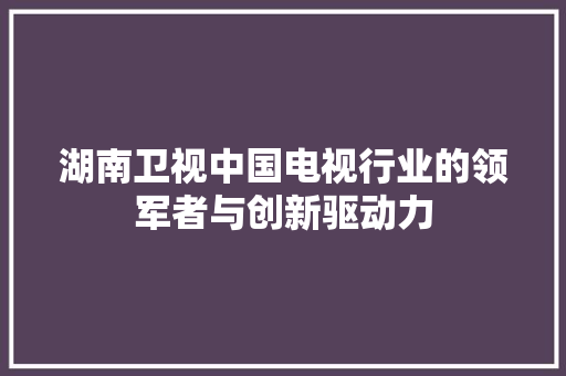 湖南卫视中国电视行业的领军者与创新驱动力