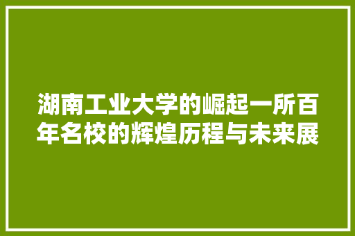 湖南工业大学的崛起一所百年名校的辉煌历程与未来展望
