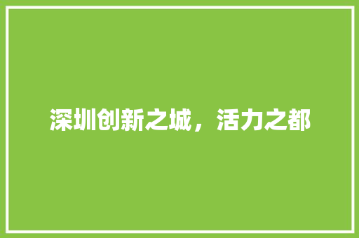 深圳创新之城，活力之都