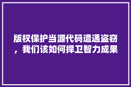 版权保护当源代码遭遇盗窃，我们该如何捍卫智力成果