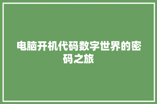 电脑开机代码数字世界的密码之旅