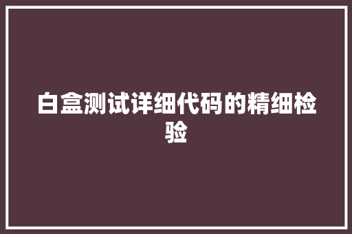 白盒测试详细代码的精细检验