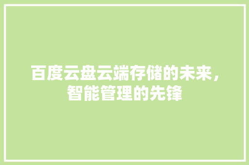 百度云盘云端存储的未来，智能管理的先锋