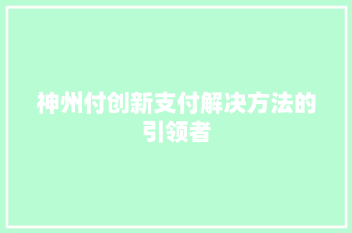 神州付创新支付解决方法的引领者  第1张