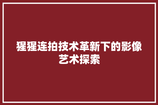 猩猩连拍技术革新下的影像艺术探索