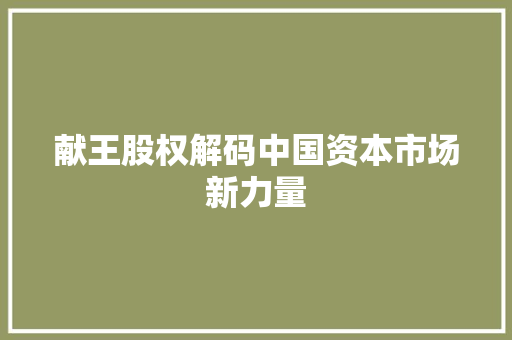 献王股权解码中国资本市场新力量