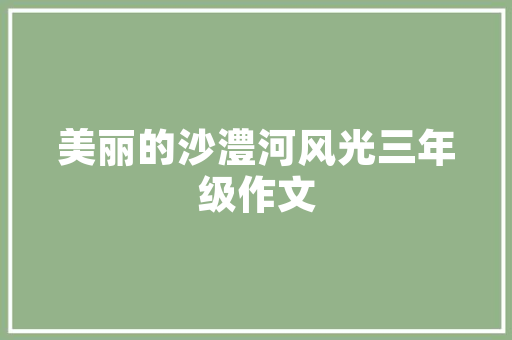 SEO优化正确运行流程全介绍,从基础到方法，打造高效搜索引擎排名步骤