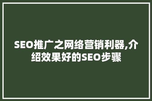 SEO推广之网络营销利器,介绍效果好的SEO步骤