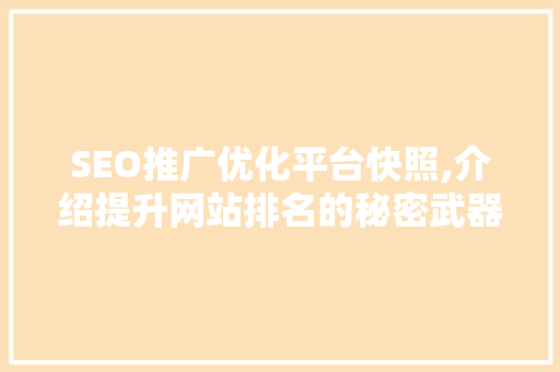 SEO推广优化平台快照,介绍提升网站排名的秘密武器