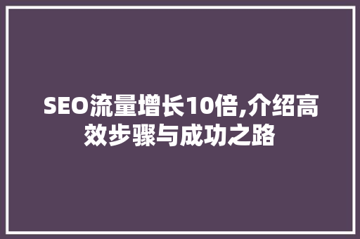 SEO流量增长10倍,介绍高效步骤与成功之路