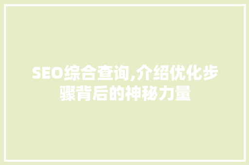 SEO综合查询,介绍优化步骤背后的神秘力量