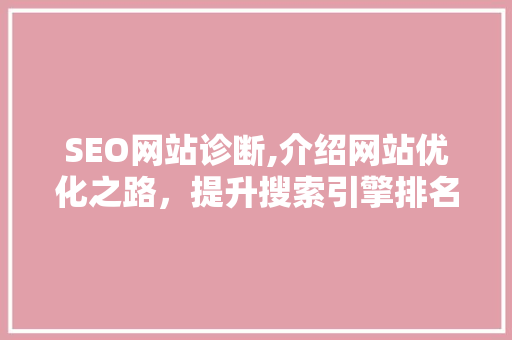 SEO网站诊断,介绍网站优化之路，提升搜索引擎排名
