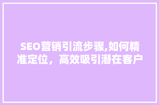 SEO营销引流步骤,如何精准定位，高效吸引潜在客户