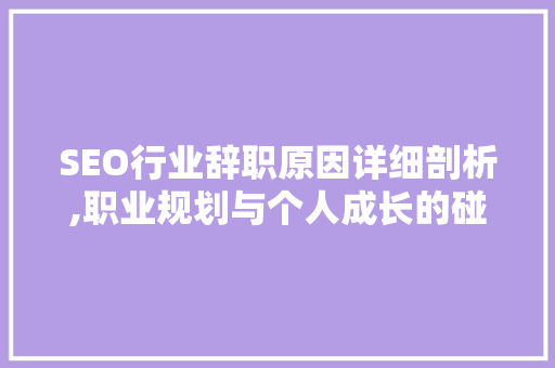 SEO行业辞职原因详细剖析,职业规划与个人成长的碰撞