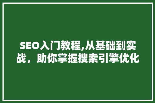 SEO入门教程,从基础到实战，助你掌握搜索引擎优化方法  第1张